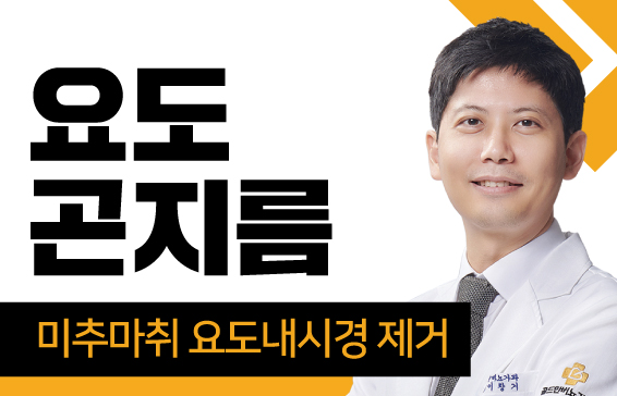 요도 곤지름 미추마취 요도내시경 제거